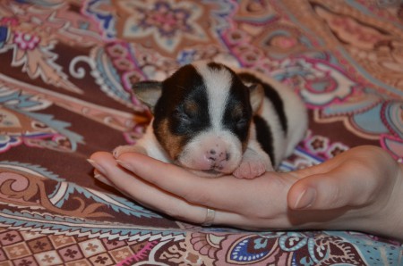 EZIO - wer zuletzt kommt... kuschelt am längsten!